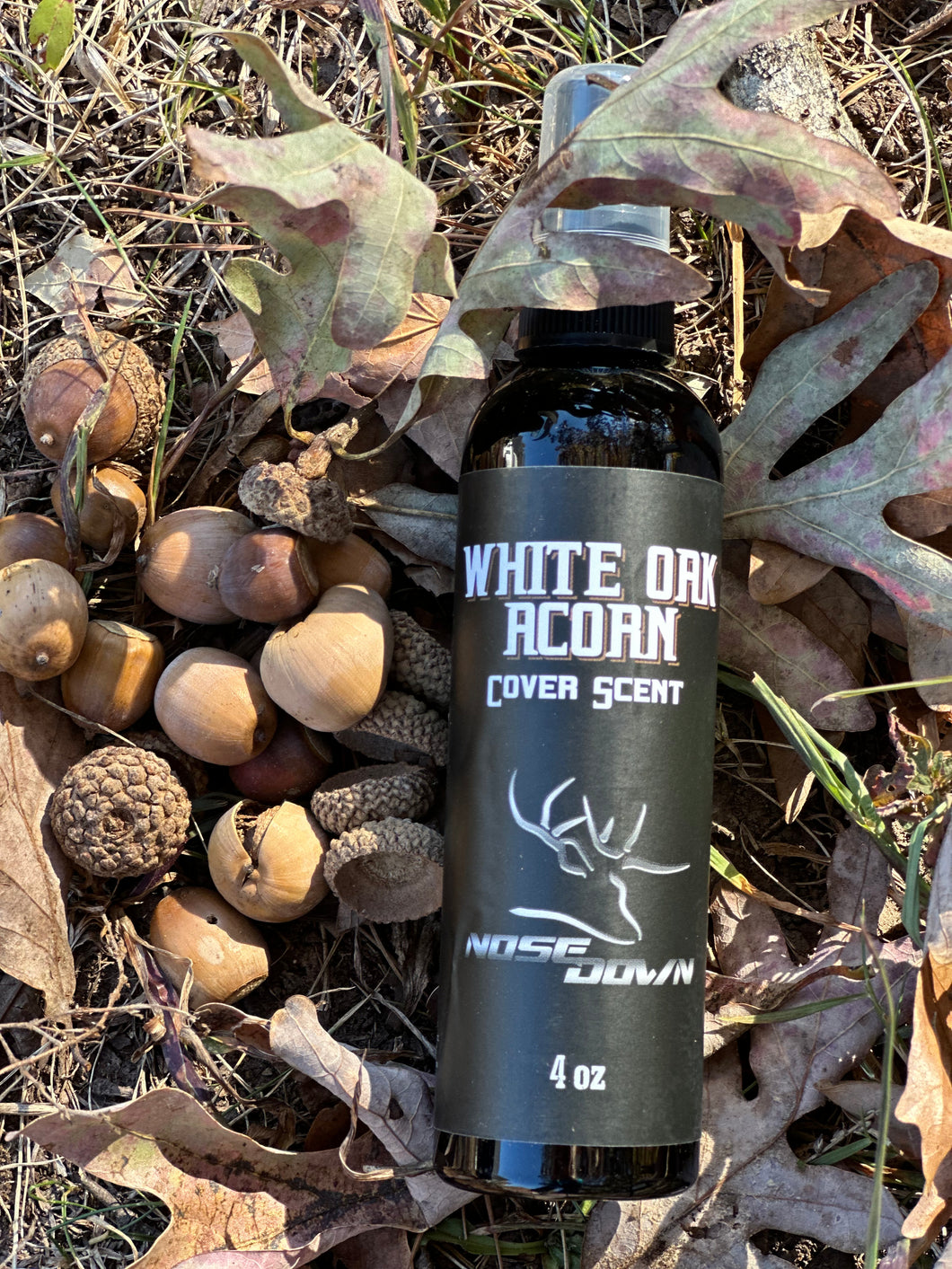 White Oak Acorn Cover Scent