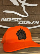 Bear Paw 2.0